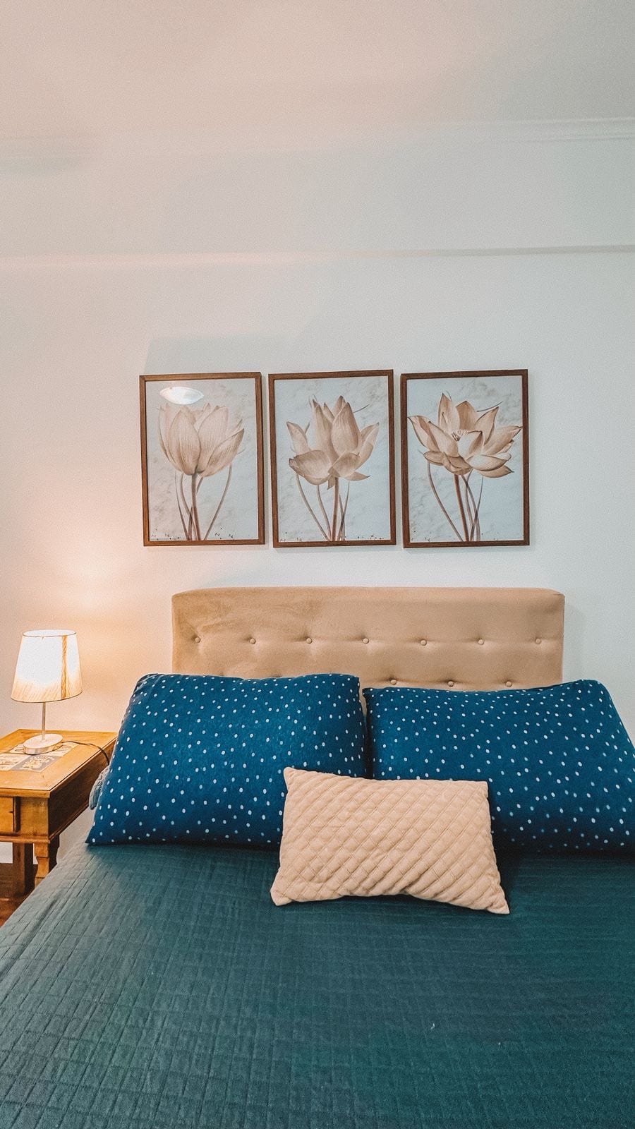 Apartamento Coruja — foto 21, Praia de Pitangueiras